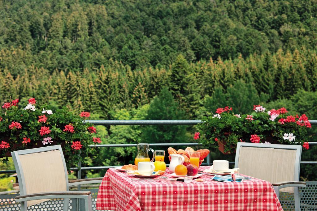 Logis Hotel Le Vetine Ле-Вальтен Екстер'єр фото